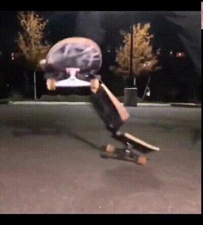 Enlace a Es impresionante verlo a cámara lenta