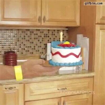 gato,ganas,cumple,pastel