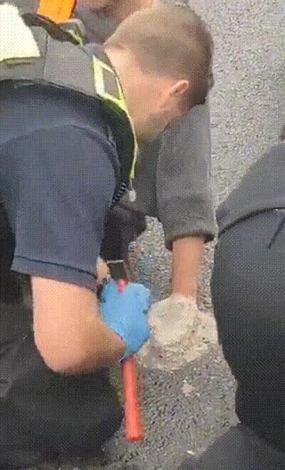 Activistas del cambio climático ponen sus manos en cemento en medio de la carretera activistas,cambio climatico
