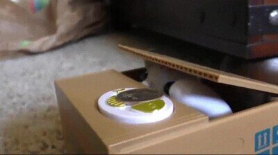 Enlace a Me parto con la reacción del gato