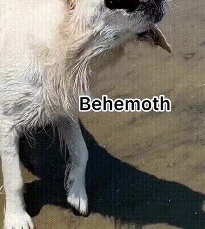 Enlace a Mi perro pone las caras de todos los demonios