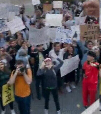 Enlace a La surrealista manifestación de negacionistas de pájaros: creen que en realidad son drones controlados por el Gobierno