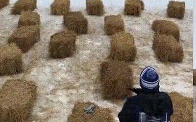 Enlace a Un deporte bastante peligroso