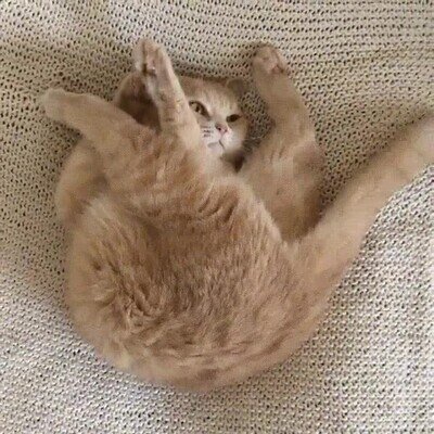 Enlace a Cuando montas al mueble sin leer las instrucciones