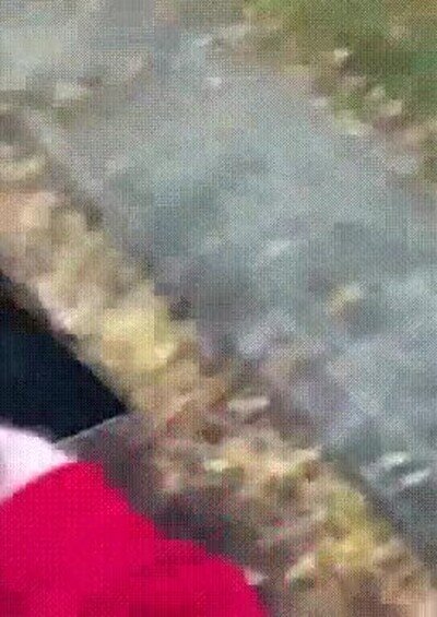 Enlace a Noooo ¿en qué estaba pensando?