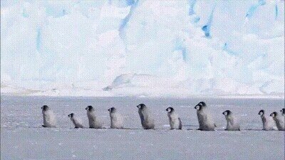 Enlace a Photobombing evitando la foto perfecta