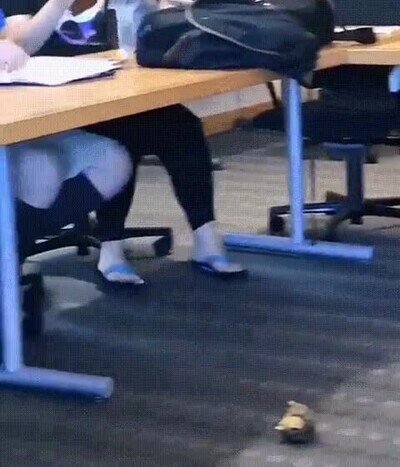 Enlace a El compañero de clase más cuqui que he tenido