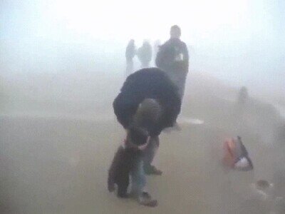 Enlace a Ha salvado a un oso de un incendio y ahora son los mejores amigos