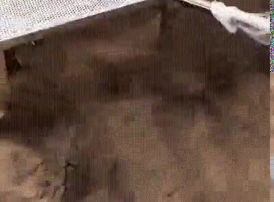 Enlace a Limpiando una playa de la manera más óptima