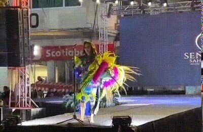 Enlace a Un concurso de belleza que sale mal