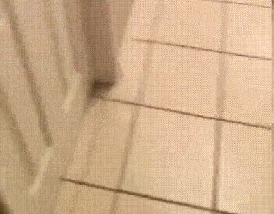 Enlace a No puede parar de perseguirlo