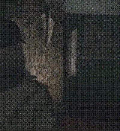jugar,juego,miedo