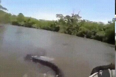 Enlace a No me vuelvo a subir a una barca en la vida