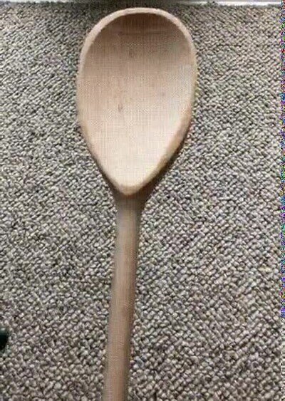 mejor,regalo,cine