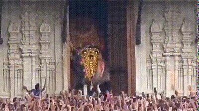 Thechikottukavu Ramachandran el elefante cautivo más grande del mundo elefante,grande,india