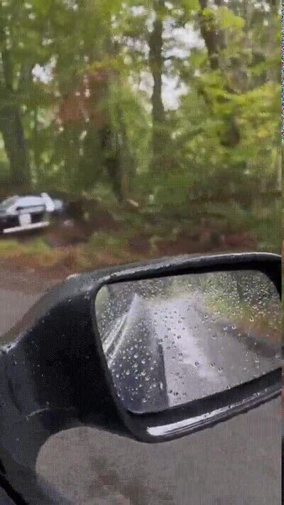 Enlace a Se ha parado solo para mirar el coche