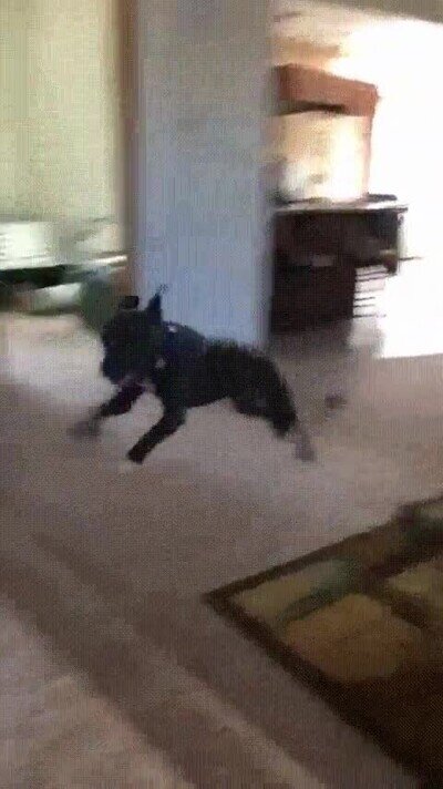 Enlace a Cuidado con el hueco entre sofás