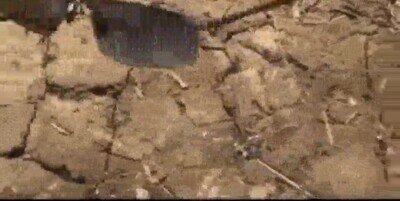 Enlace a Con estas gafas se ve mucho más lo que hay dentro del agua