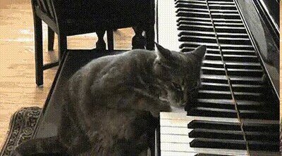 Enlace a Catciero para piano en D miaunor