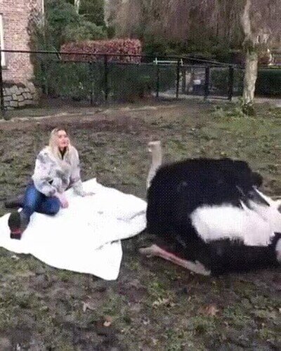 Enlace a Disfrutando de una bonita mañana de picnic