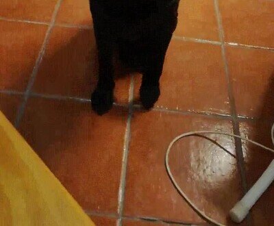 Enlace a Tiene 13 años y sigue portándose como un bebé