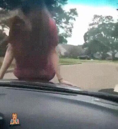 Enlace a ¿Qué podía salir mal?