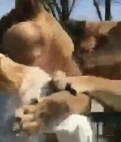 Enlace a Se acuerdan de su cuidadora 7 años después