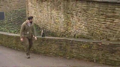 Enlace a Saliendo con el peque de casa a dar un paseo