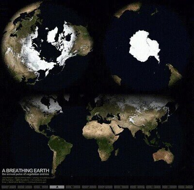 Enlace a Así es la Tierra cambiando de estaciones