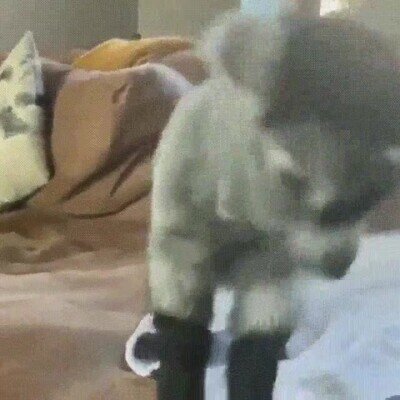 Enlace a Cuando por fin recibes la buena noticia que estabas esperando