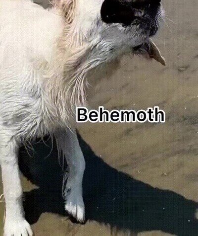 Enlace a Un perro caras de demonio