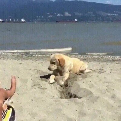 Enlace a Se ha terminado la hora del descanso