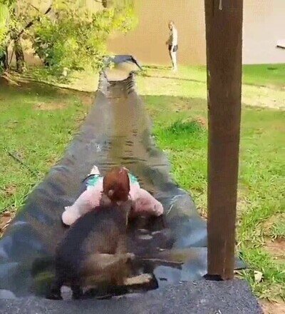 Enlace a Ya no había vuelta atrás