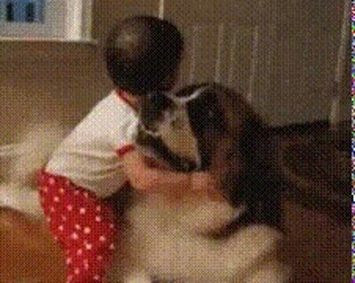 Enlace a Lo más adorable que verás en todo el día