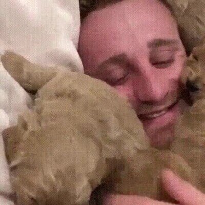 Enlace a El paraiso de los amantes de los perros