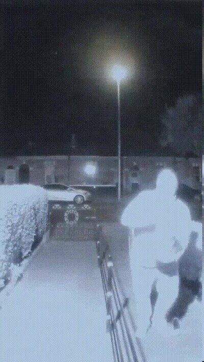 Vecinos majos que vienen a hacerte una visita y son pillados por la cámara camara,vecino