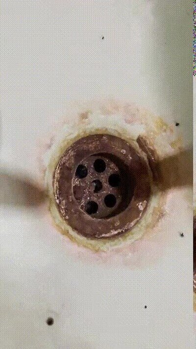 Enlace a La peor pesadilla cuando estás en la ducha