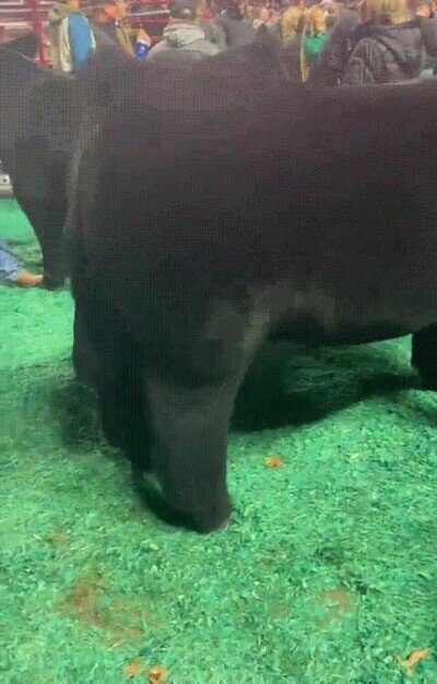 Enlace a Tiene el pelo mejor cuidado que muchos de nosotros