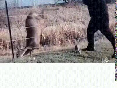 Enlace a Si ayudas a uno te lo agradecerán toda la vida