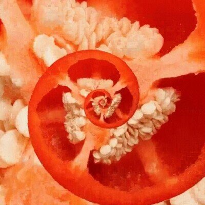fractal,pimiento rojo