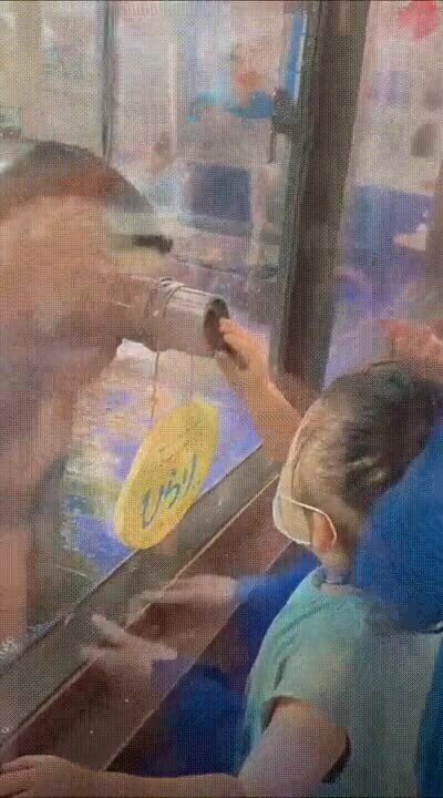 mimos,manos