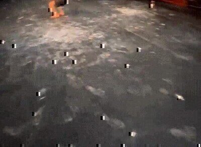 Enlace a Ensayando las acrobacias de la función de la noche