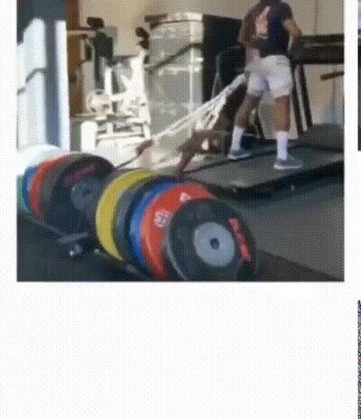 Enlace a El enternamiento más inútil que he visto nunca