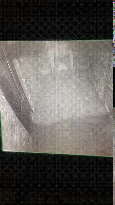 Enlace a Ha llegado la hora de la venganza