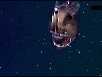 Enlace a No me volveré a meter en el agua nunca más