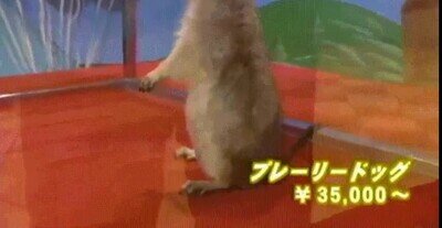 Enlace a El mítico gif ahora en Alta Definición