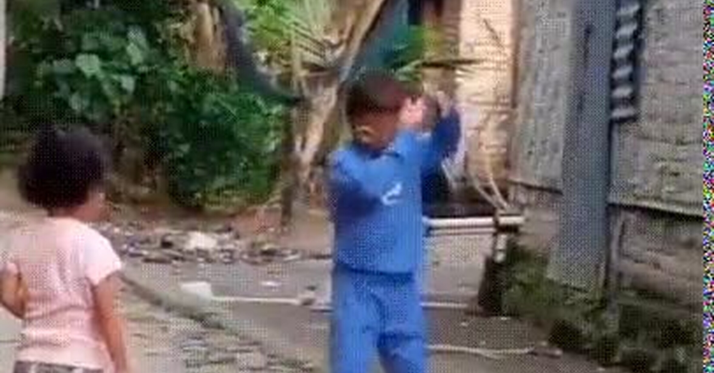 ¡Vaya GIF! / Buena lección de autocontrol
