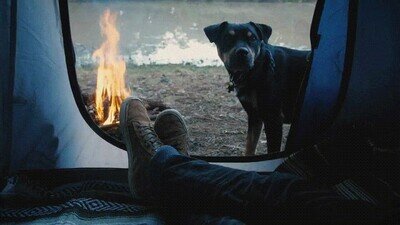 Enlace a El tipo de vacaciones que necesito