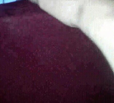 Enlace a Jugando en casa con mi gato