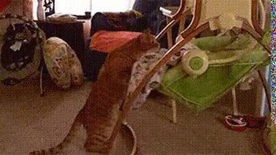 Enlace a La nueva niñera es super efectiva